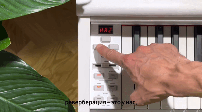 Инструкция Инструкция